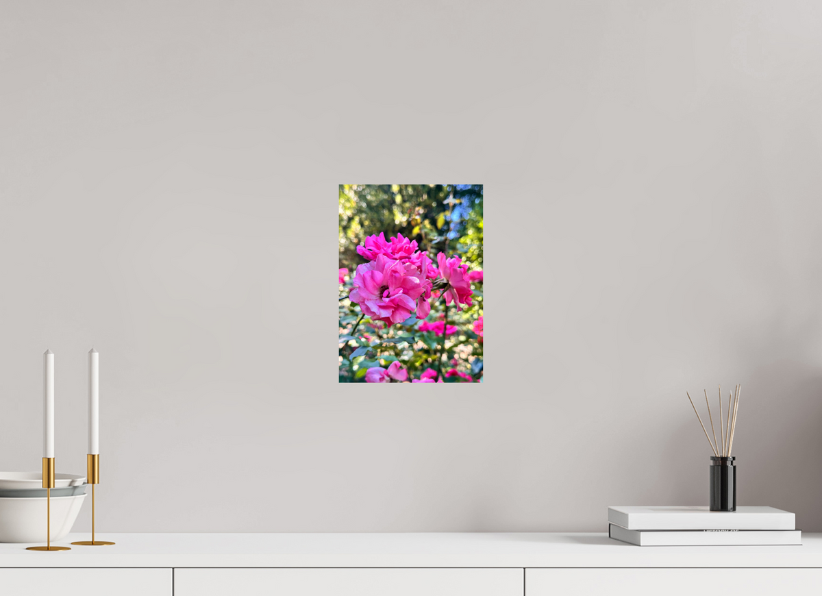20 x 27.5 cm, Photo Print On Fujiflex High Gloss Garden of Roses