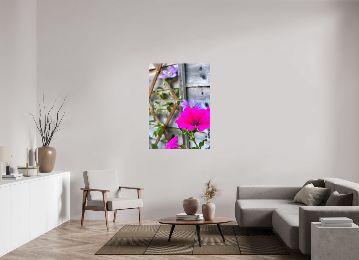 90 x 125.7 cm, Photo Print On Fuji Crystal DP II - Glossy Clematis & Pansies