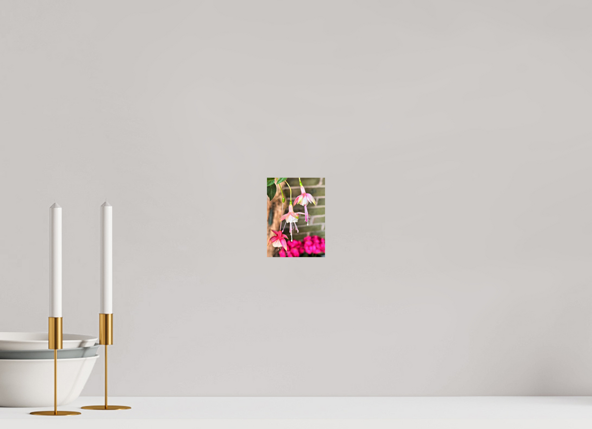 10 x 13.7 cm, Photo Print On Fuji Crystal DP II - Glossy Dancing Fairies