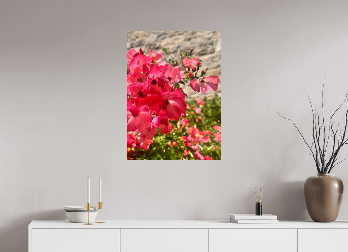 60 x 82.4 cm, Photo Print On Fuji Crystal DP II - Glossy Lady Elsie May Roses