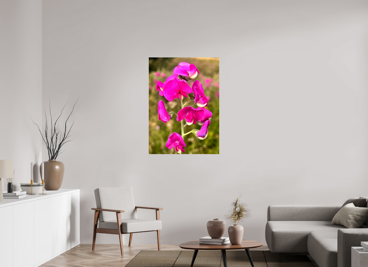 80 x 109.8 cm, Photo Print On Fuji Crystal DP II - Glossy Wild Orchid