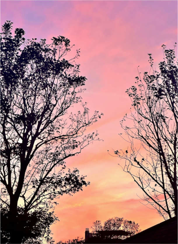 Main image Marshmallow Skies