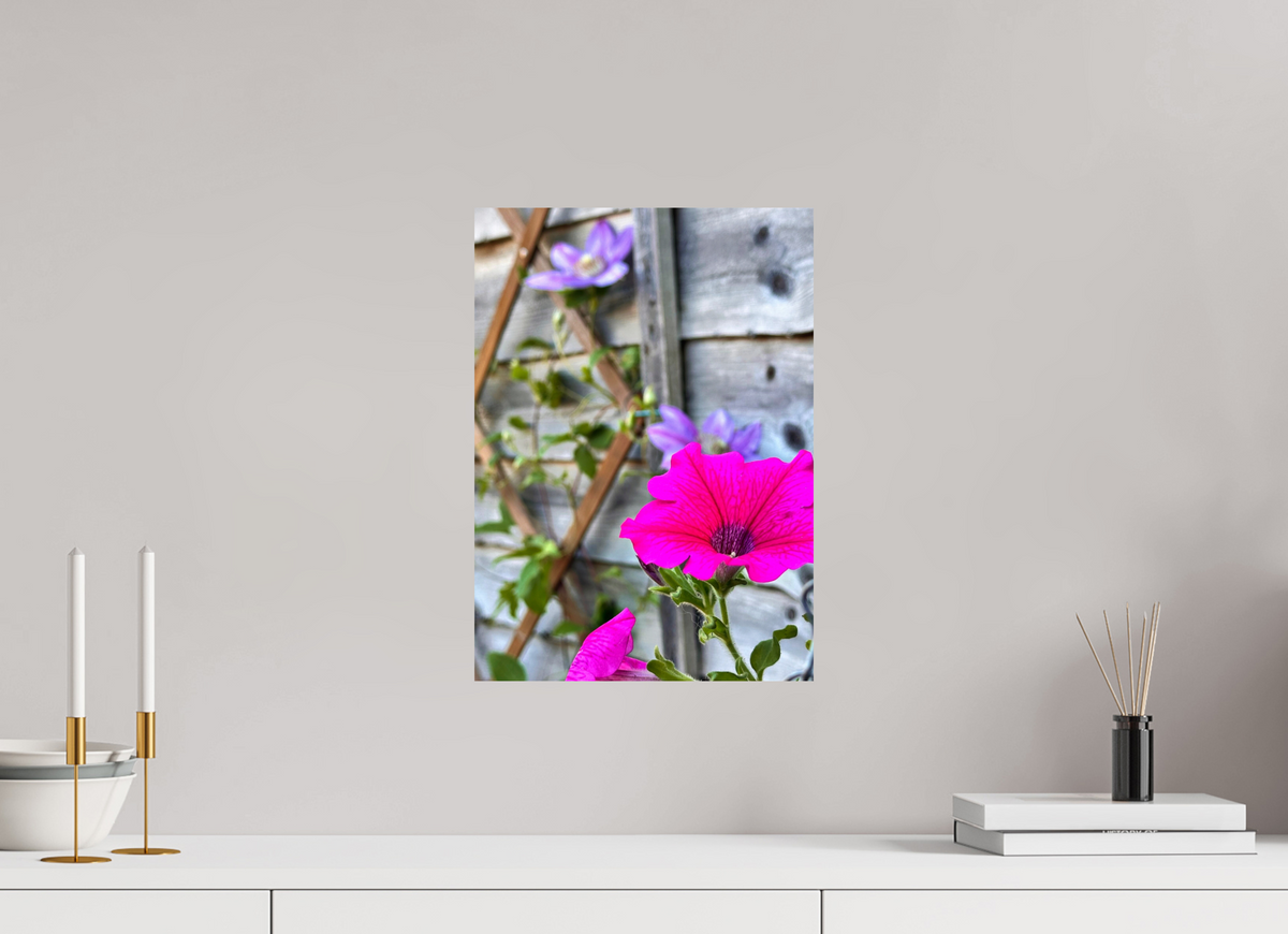 30 x 41.9 cm, Photo Print On Fuji Crystal DP II - Glossy Clematis & Pansies