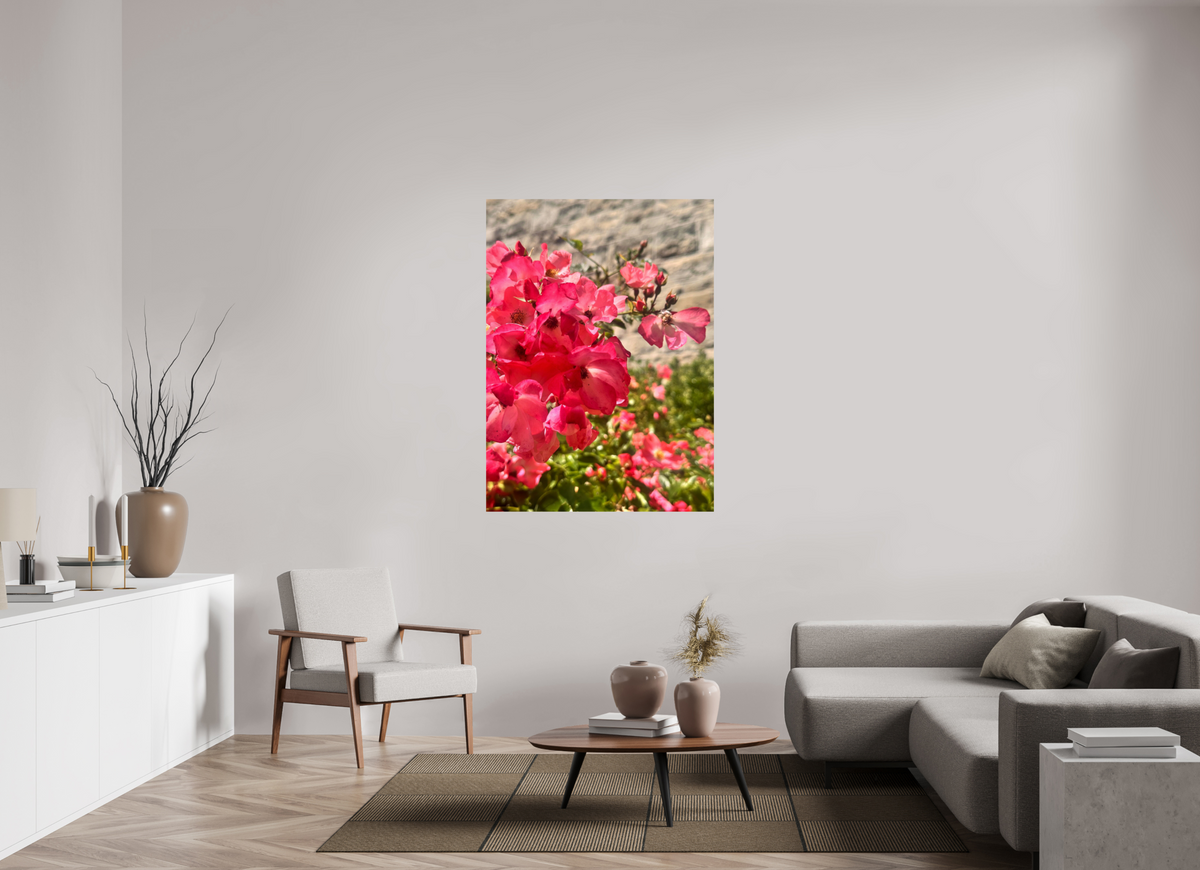 100 x 137.3 cm, Photo Print On Fujiflex High Gloss Lady Elsie May Roses
