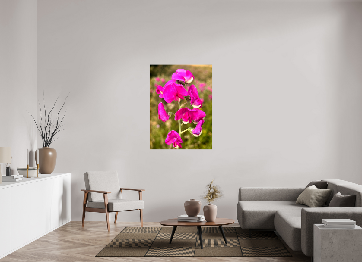 90 x 123.6 cm, Photo Print On Fuji Crystal DP II - Glossy Wild Orchid