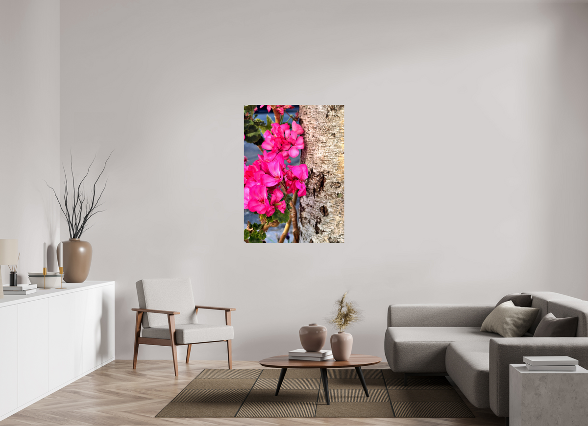 90 x 123.6 cm, Photo Print On Fujiflex High Gloss Sweet Geraniums