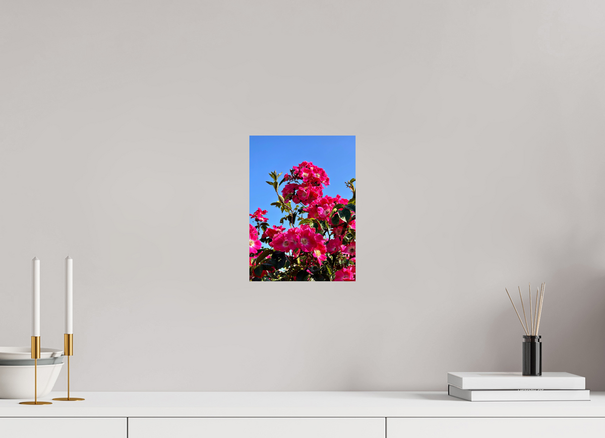 20 x 27.5 cm, Photo Print On Fujiflex High Gloss Madeira Roses