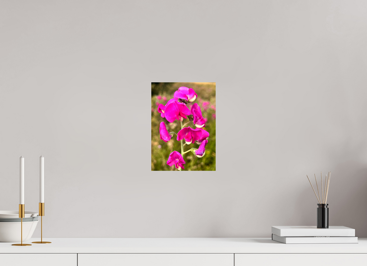 20 x 27.5 cm, Photo Print On Fuji Crystal DP II - Glossy Wild Orchid