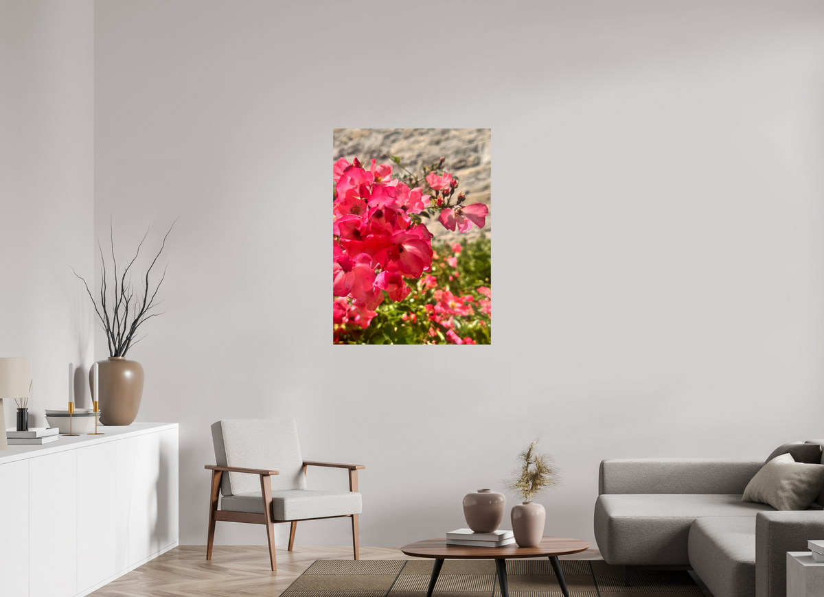 80 x 109.8 cm, Photo Print On Fuji Crystal DP II - Glossy Lady Elsie May Roses